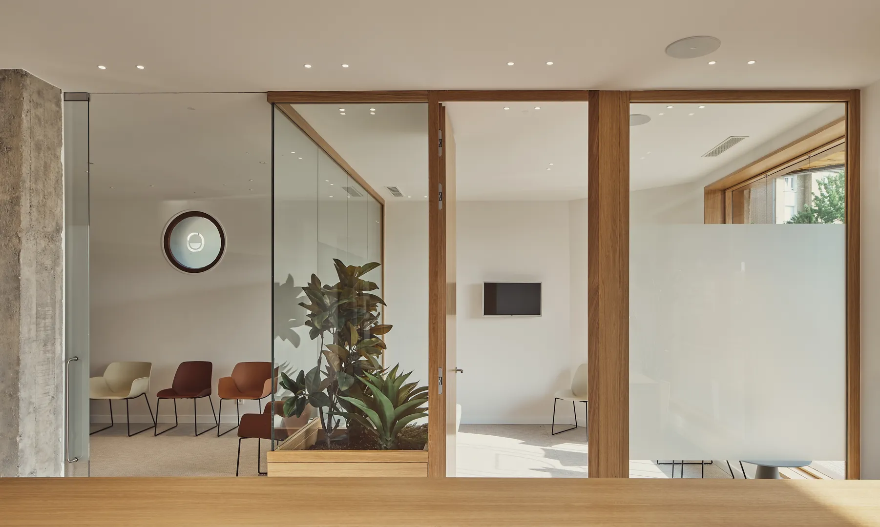 Sala de espera luminosa con sillas de diseño y una planta junto a una cristalera
